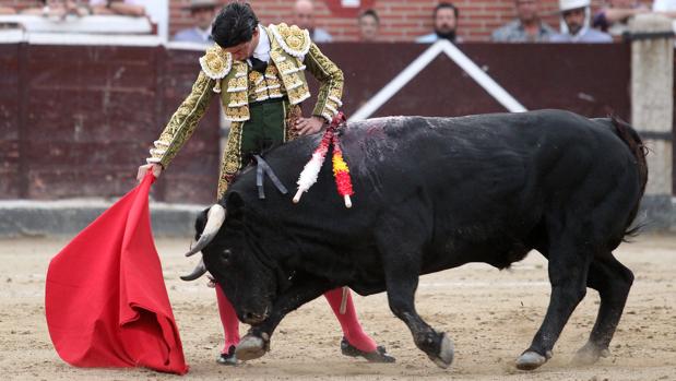 Pablo Aguado, el torero sin prisa