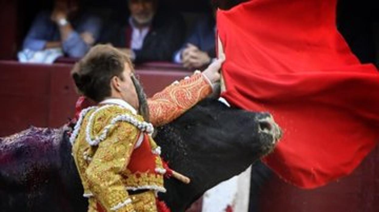 Javier Cortés, en el momento del percance