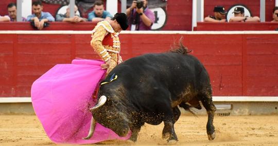 Paco Ureña, con el toro de su reencuentro
