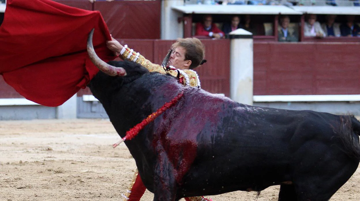 Javier Cortés, en el momento del percance con un toro del Marqués de Albaserrada en Las Ventas