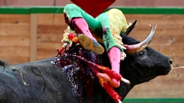 Daniel Menés sufre una cornada grave en Arnedo