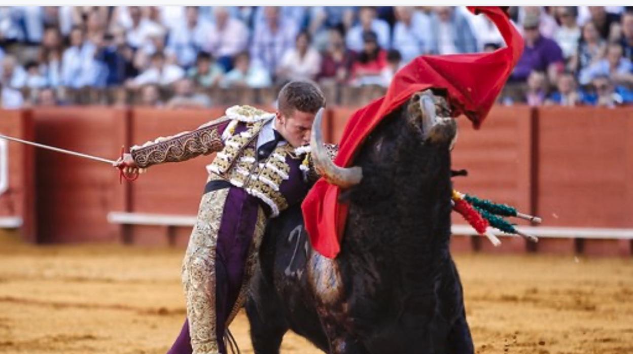 El novillero Calerito en su último paseíllo en Sevilla donde resultó cogido de gravedad