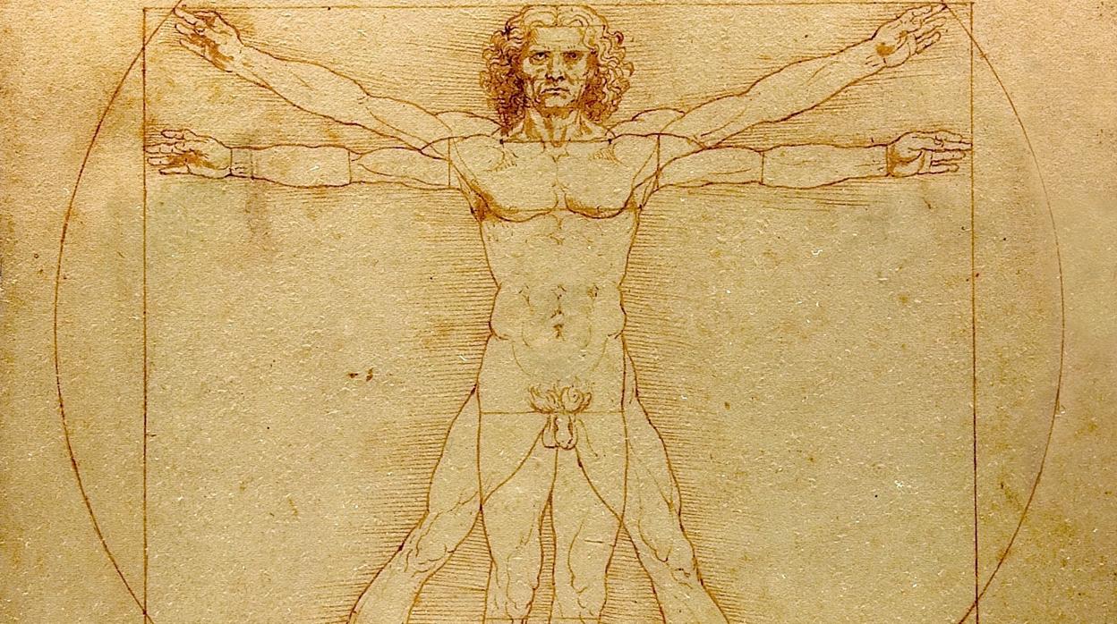 Detalle de «El hombre de Vitruvio», célebre dibujo de Leonardo