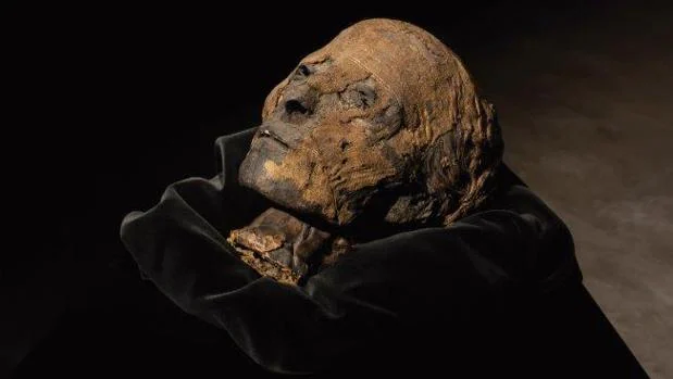 La cabeza de una momia egipcia saldrá a la venta en Feriarte