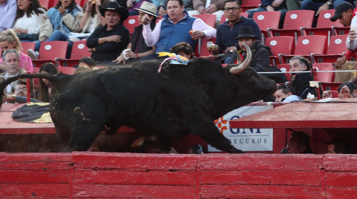 El cuarto toro saltó al callejón