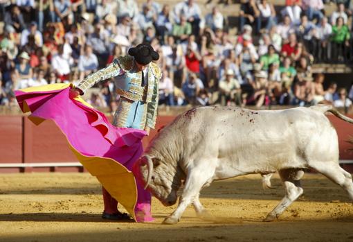 Alberto Gómez lidió en la Maestranza una novillada de Prieto de la Cal en el año 2008