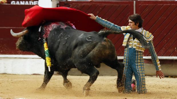 Toros en Bogotá: Castella sigue reinando en Colombia en tarde de pitos para Morante