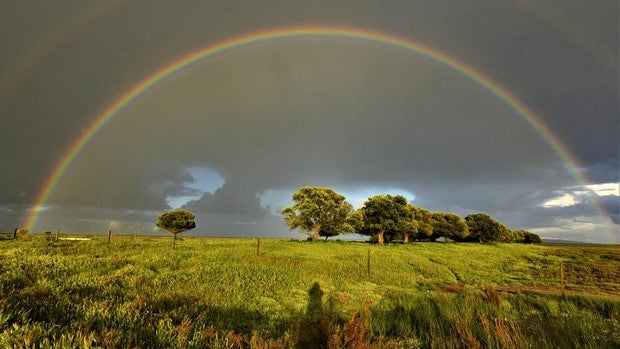 Doñana, realidad impresionista de febrero