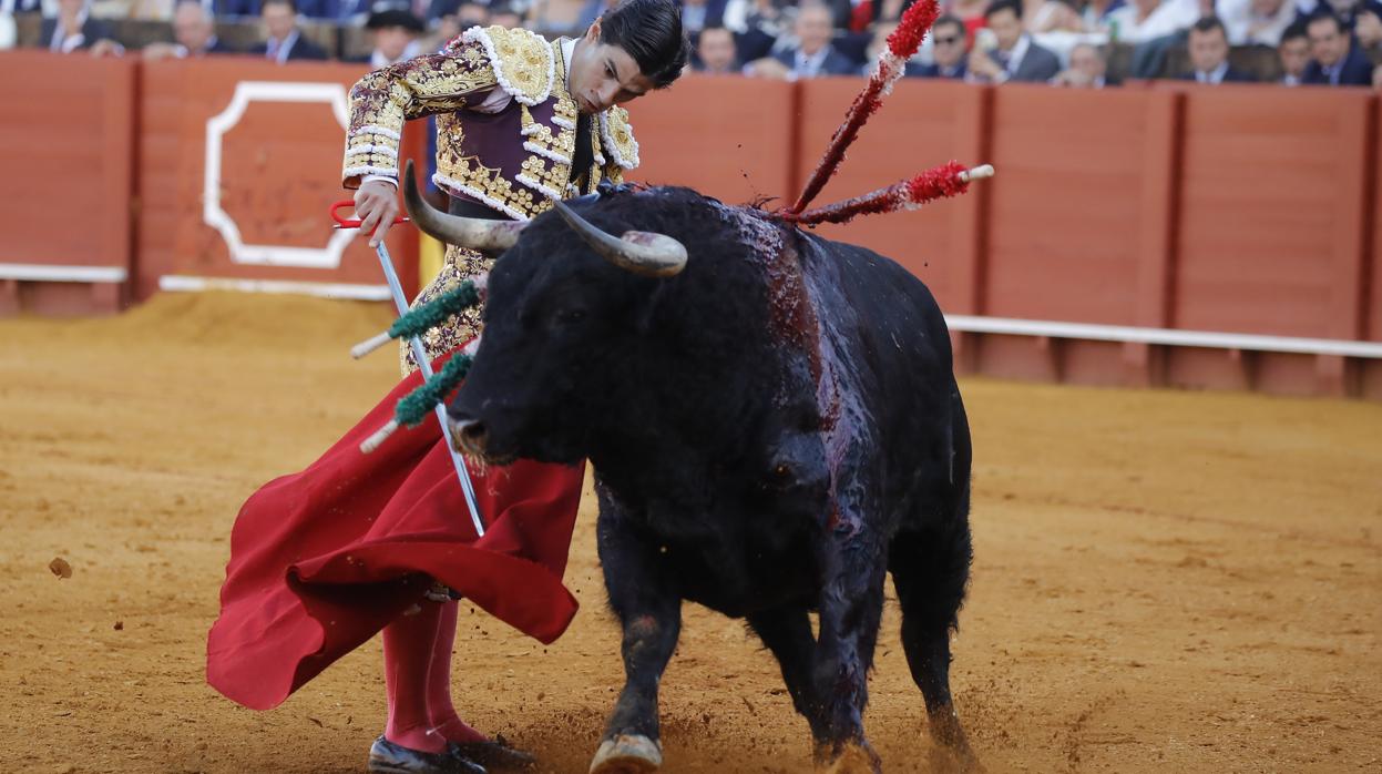 Pablo Aguado estará finalmente en Sevilla con cuatro tardes