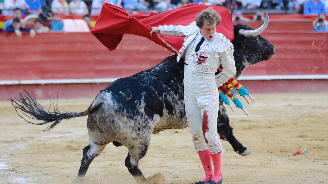 Un aficionado lee la nota de la empresa de la plaza de toros en Valencia