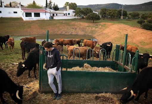 Ginés Marín, en el campo