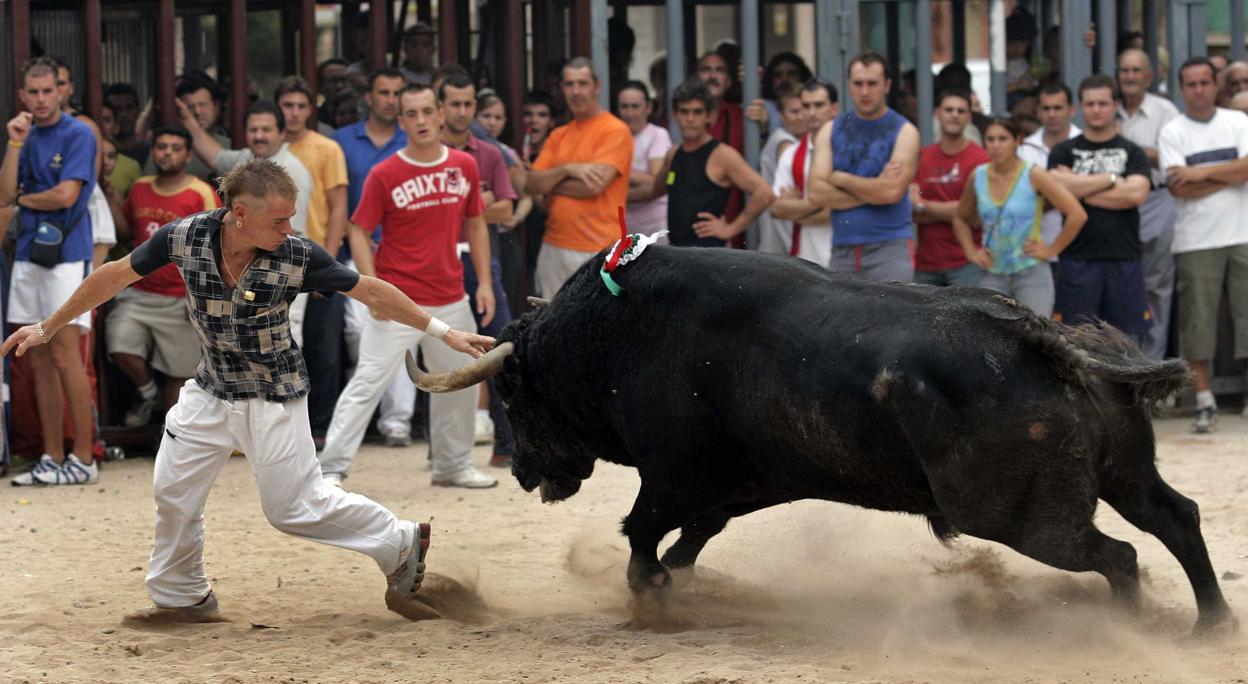 Toros en la calle: un espectáculo de 300 millones de euros en peligro