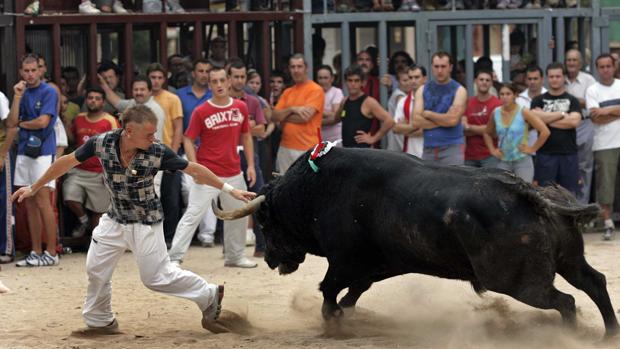 Toros en la calle: un espectáculo de 300 millones de euros en peligro