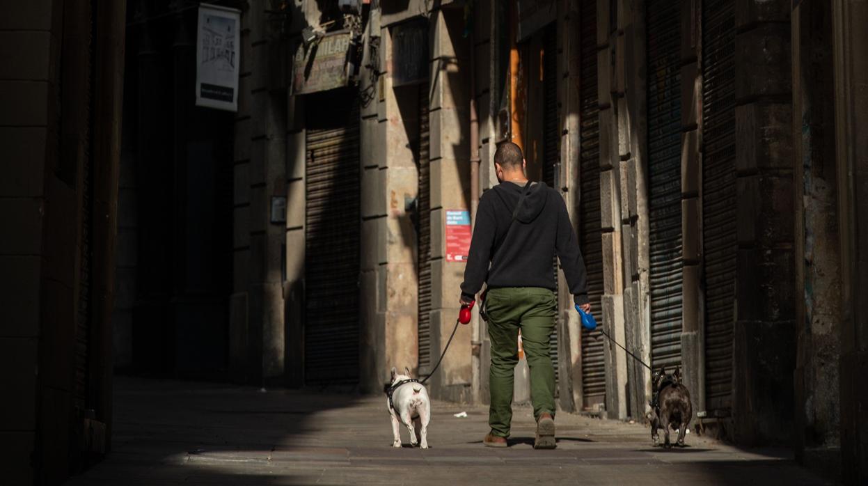 Un transeúnte pasea a sus perros