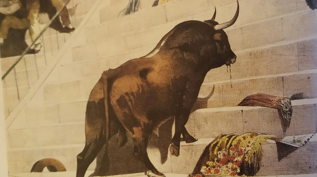 El toro «Moñudo», en una litografía de la revista «La Lidia»