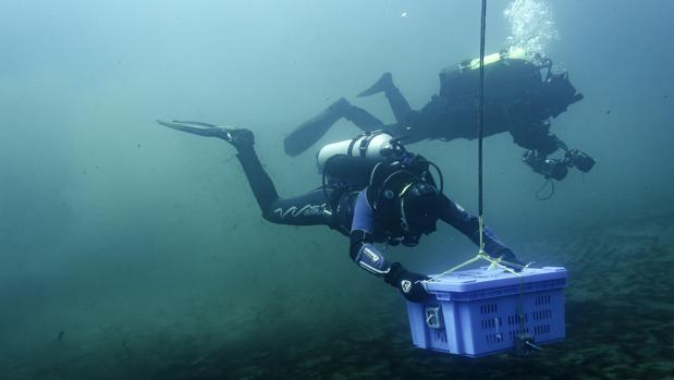 De vuelta al volcán de los dioses: ofrendas y autosacrificios en un cráter mexicano