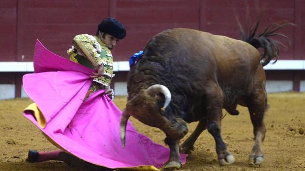 Las ferias taurinas de Burgos y Algeciras, las últimas en caer por el coronavirus