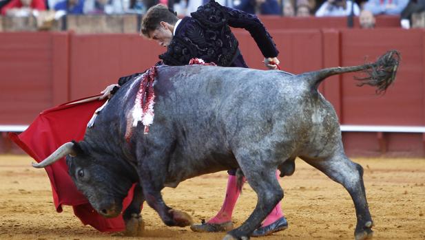 Victorino Martín, un debut tardío para una divisa ya consagrada