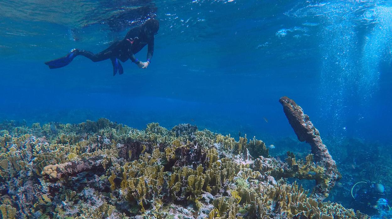 Varios buzos inspeccionan los restos del pecio en aguas mexicanas