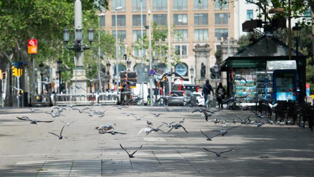 Así se celebrará Sant Jordi el 23 de julio: firmas organizadas con antelación y paradas limitadas