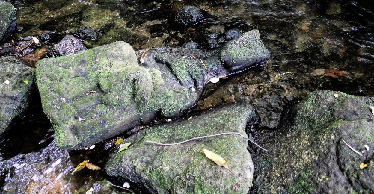 Un pescador halla una virgen gótica en el lecho del río Sar