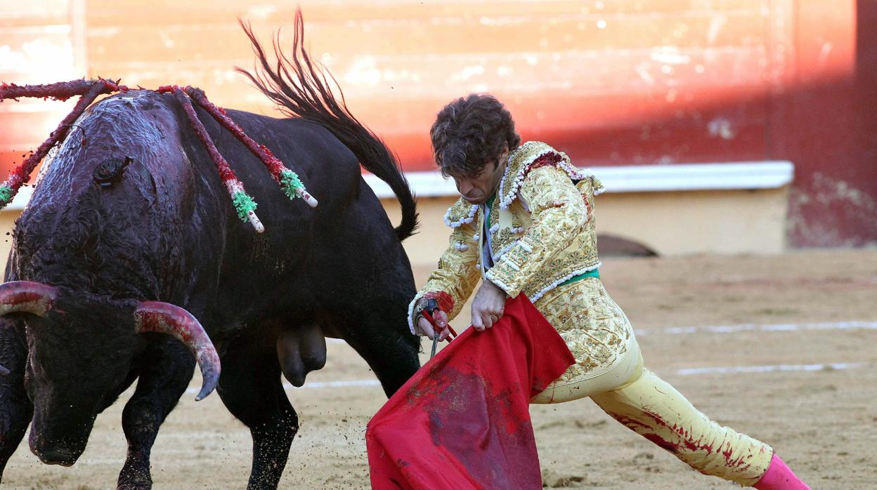 José Tomás, en Bayona