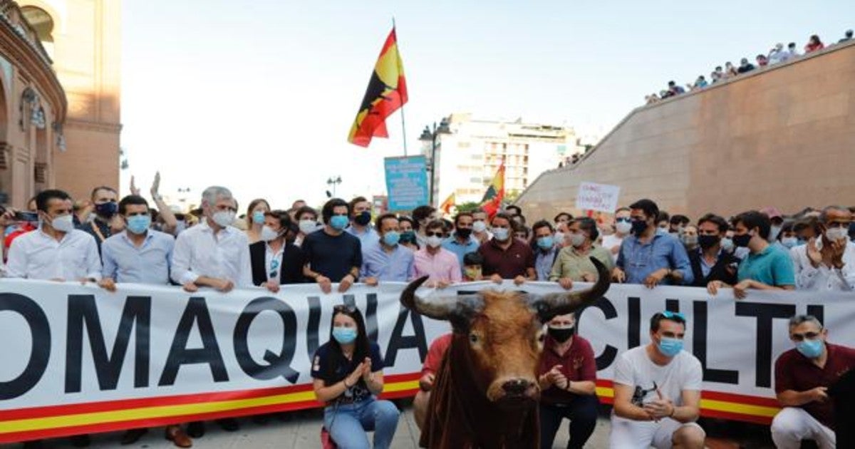 Aficionados y profesionales, en la explanada de Las Ventas