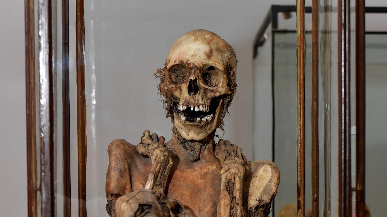 La momia inca que exhibe el Museo de Arte e Historia de Bruselas