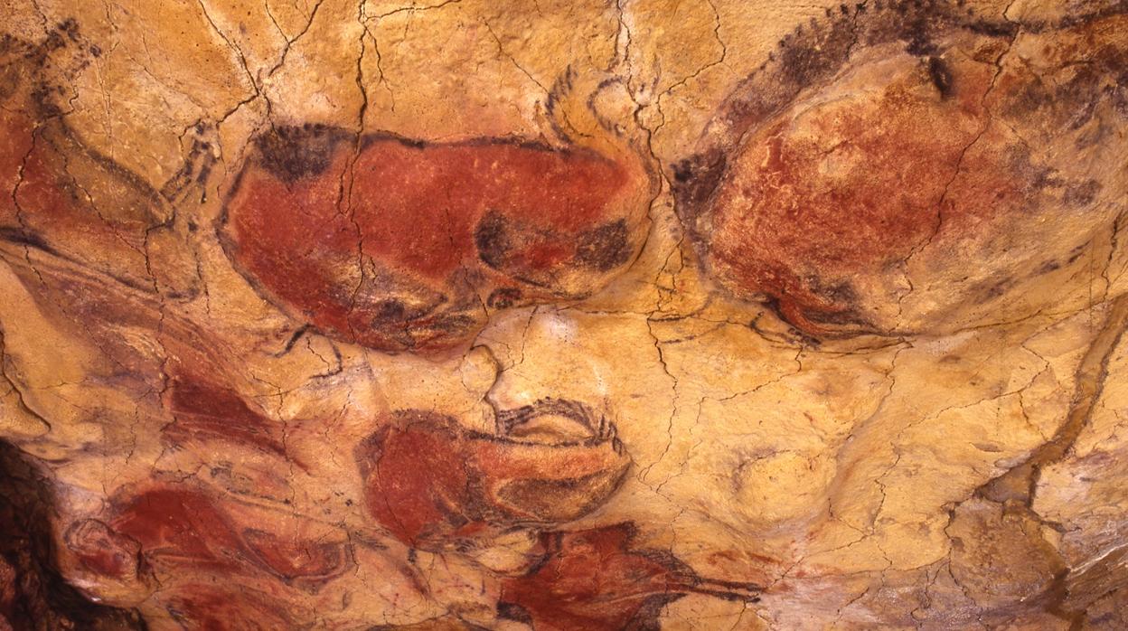 Techo de Polícromos. Cueva de Altamira