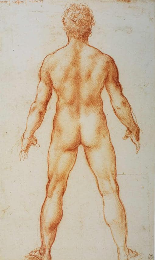 Estudio de un desnudo masculino, de Da Vinci, en la Royal Colection de Gran Bretaña.
