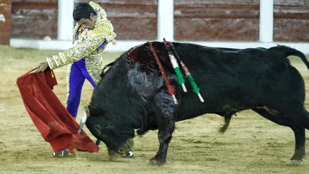 Emilio de Justo vence por «goleada» a Enrique Ponce en su mano a mano en Plasencia