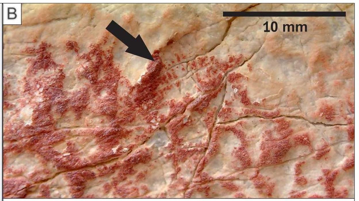 Una de las huellas prehistóricas o paleodermatoglifos hallada en el abrigo de Los Machos