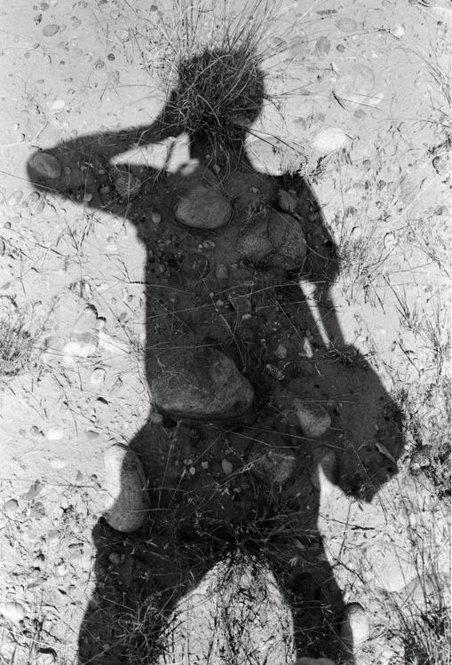 Lee Friedlander: Un encuadre perfecto para los tiempos de la pandemia