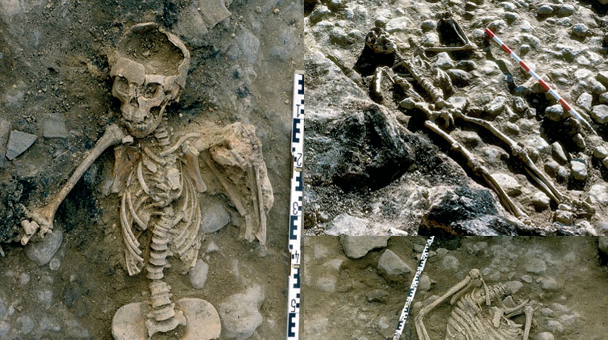 Varios esqueletos con huellas de violencia tal y como se encontraron durante las excavaciones