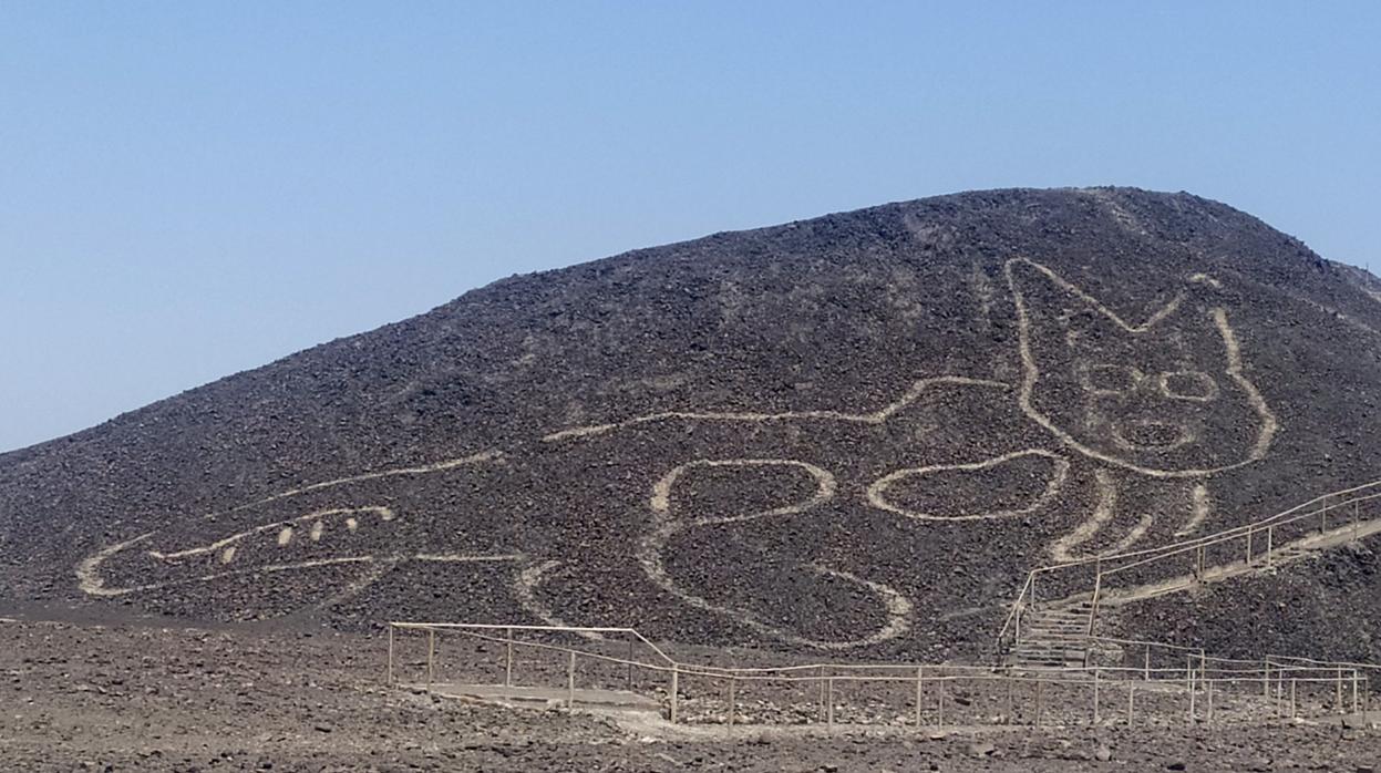 La figura de un gato de unos 37 metros de largo que reposa sobre una colina arenosa en la Pampa de Nazca