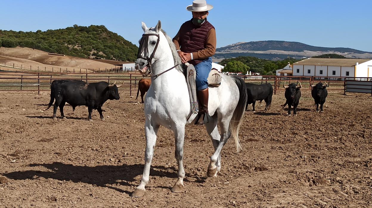 Ricardo Gallardo, a caballo en su finca gaditana de «Los Romerales»