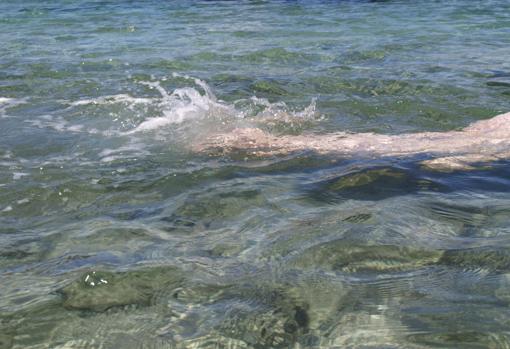 «El rastro de la sirena» (2014)