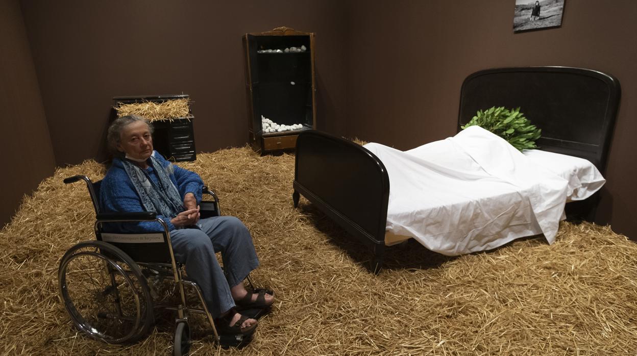 «Imágenes del zoo» (1974), acción en la Sala Vinçon de Barcelona