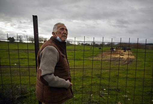 El maestro de Camas, en su finca de la Sierra de Gredos
