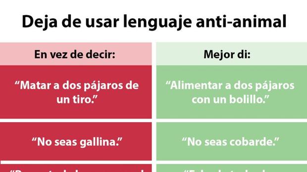 La nueva y absurda petición animalista: «Deja de usar el lenguaje anti-animal»