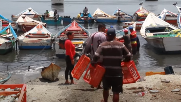 El misterioso tesoro encontrado en una playa de Venezuela que trajo alegría a un pueblo desesperado