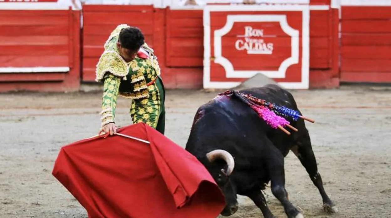 Cristóbal Pardo, con el toro «Reyecito»