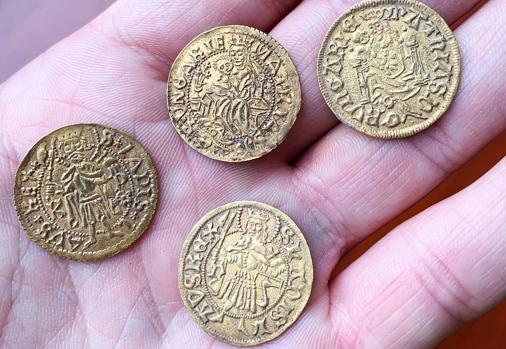 Encuentran en una granja un tesoro de miles de monedas medievales y romanas