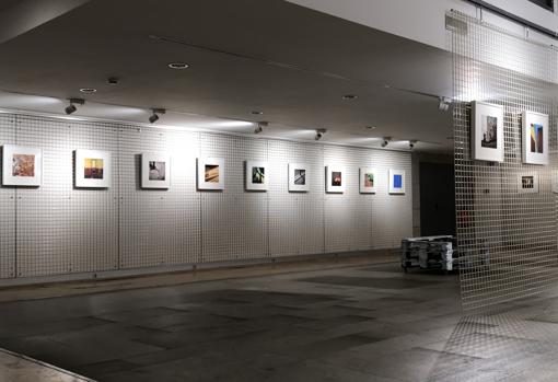 Detalle del montaje de «Haikus» (2018). Fórum Metropolitano de A Coruña