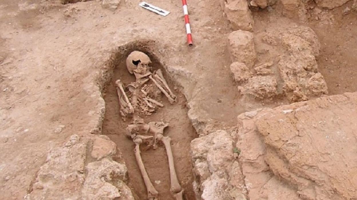 Una imagen del yacimiento de Pollentia