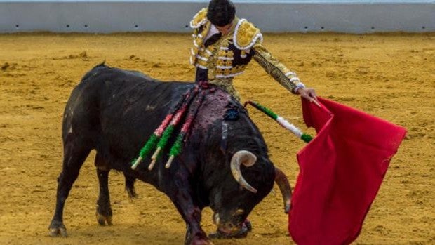 La naturalidad sevillana de Pablo Aguado en Ubrique