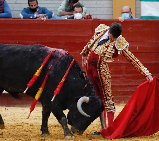 Corrida concurso de Morón: Daniel Luque y Maletilla, el tándem perfecto para soñar el temple