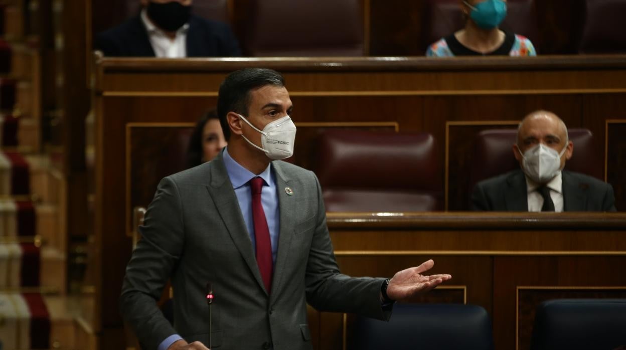 Pedro Sánchez, en el Congreso de los Diputados