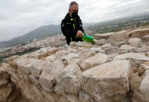 El presidente de la Asociación Patrimonio de Santomera, Miguel Pallarés, trabaja en la excavación arqueológica en el yacimiento de la Sierra del Balumba de Santomera