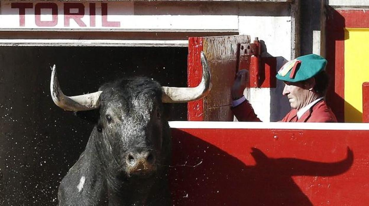 El alcalde de Pamplona no descarta la celebración de alguna corrida fuera de San Fermín